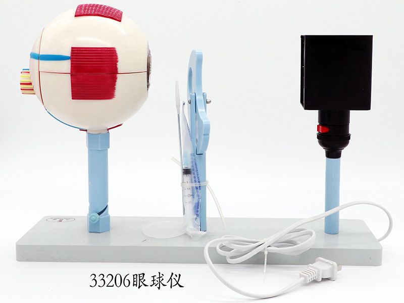 眼球儀